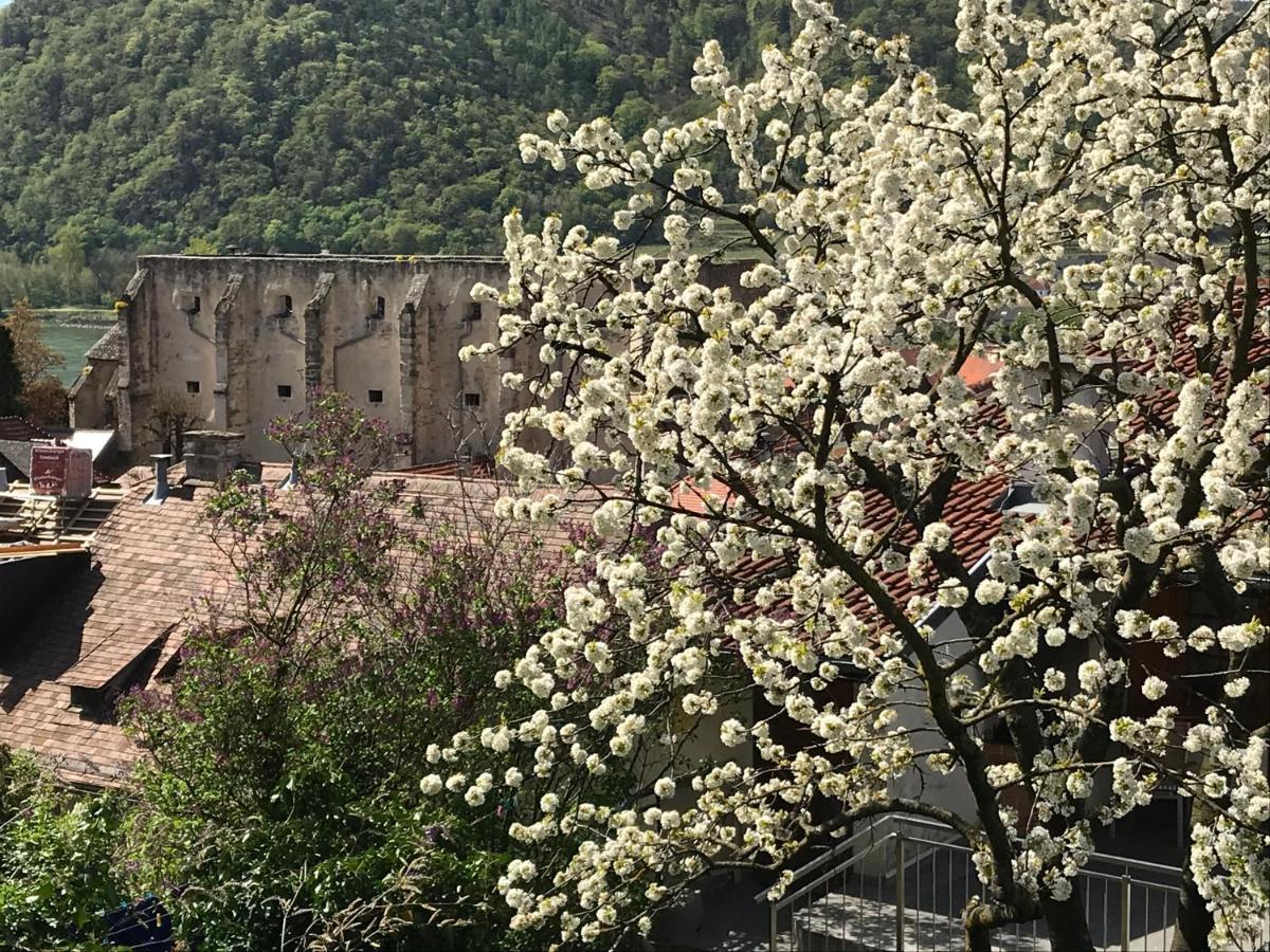 Pension Altes Rathaus Dürnstein Dış mekan fotoğraf